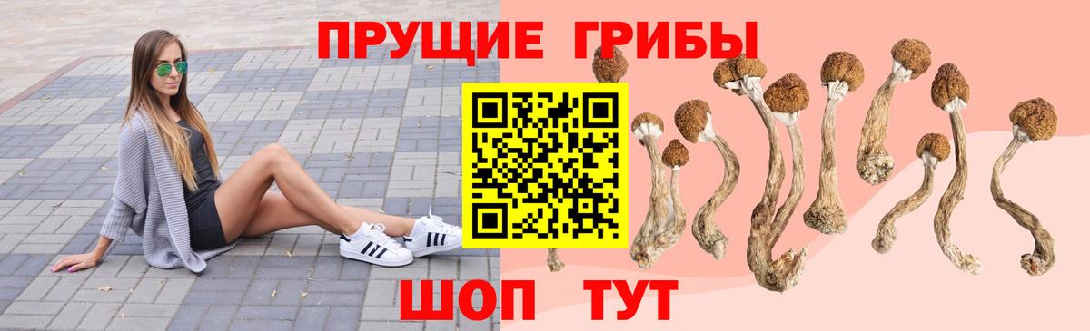 купить наркоту  Вход с VPN  Ивантеевка  Галлюциногенные грибы Magic Shrooms 