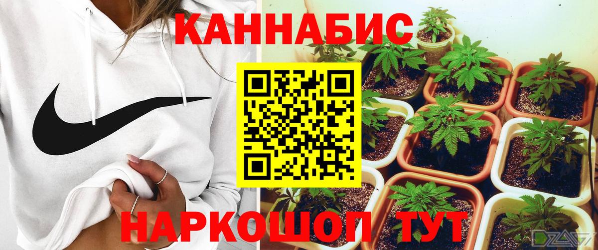 Каннабис план  Каннабис семена  МАРИХУАНА ГИДРОПОН  Шишки марихуана Bruce Banner  Ивантеевка  Вход с VPN 